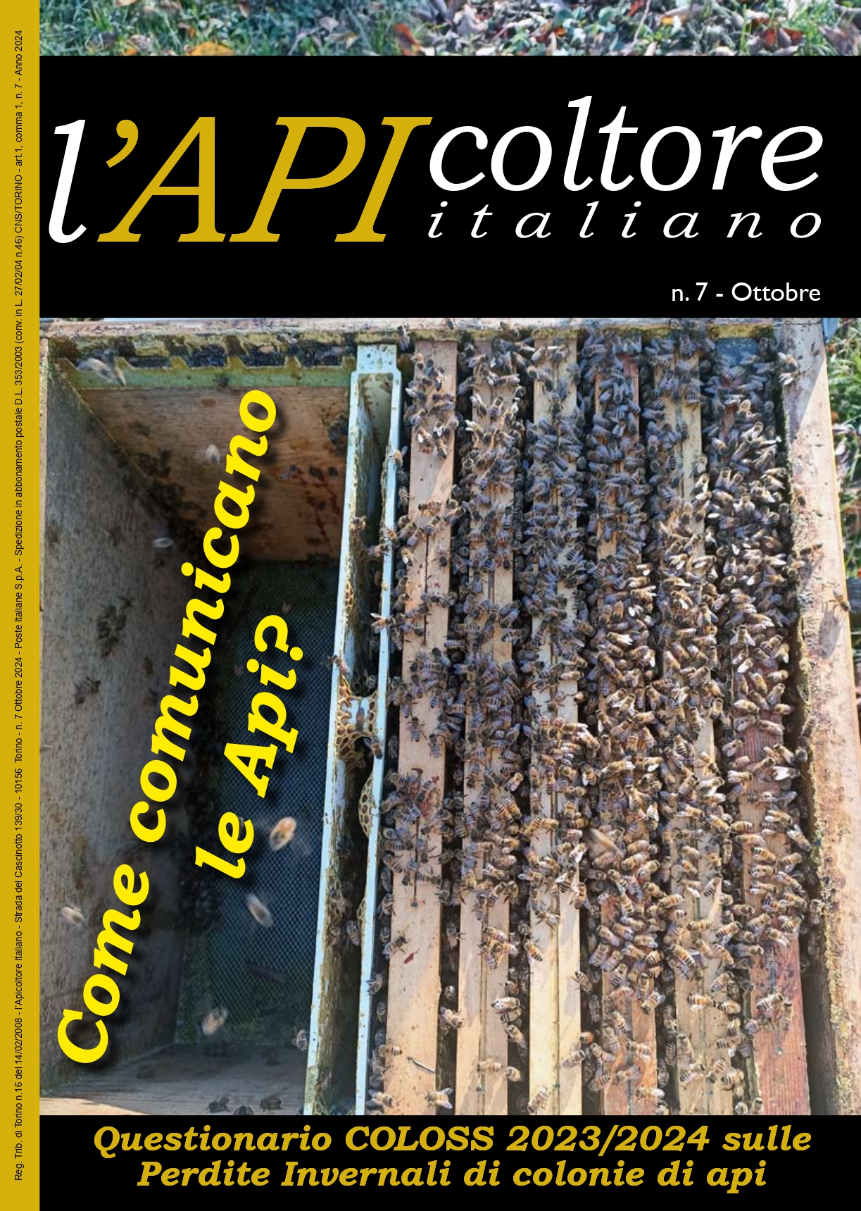 copertina 4 24